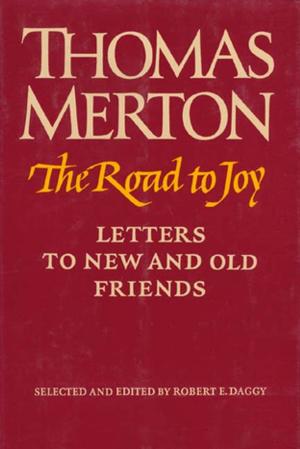 Book cover of The Road to Joy