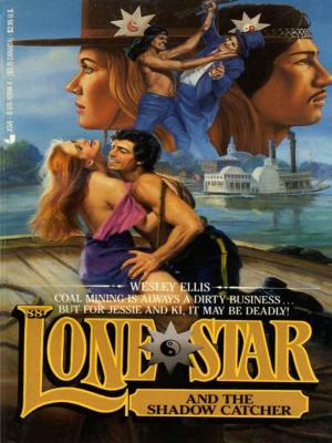 Cover of the book Lone Star 88 by Suzann Pileggi Pawelski, MAPP, James O. Pawelski, PhD