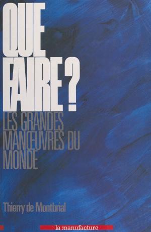 Cover of the book Que faire ? Les grandes manœuvres du monde by Erik O. Ronningen