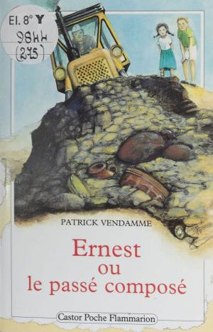 Cover of the book Ernest ou Le passé composé by David Scheinert