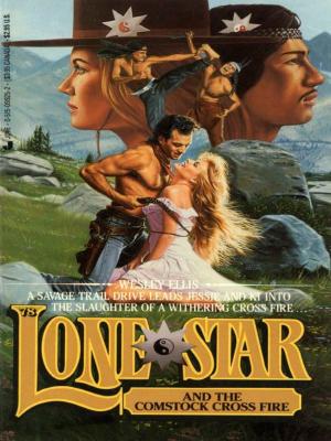 bigCover of the book Lone Star 78 by 