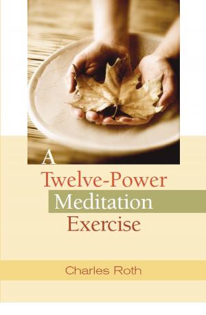 Cover of the book A Twelve-Power Meditation Exercise by James Dillet Freeman