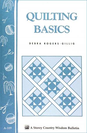 Cover of the book Quilting Basics by Betty E. M. Jacobs