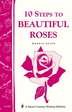Cover of the book 10 Steps to Beautiful Roses by Judy Burris, Wayne Richards