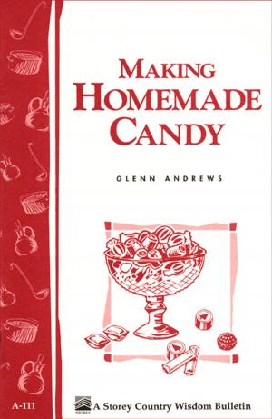 Cover of Making Homemade Candy