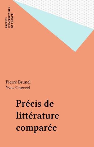 Cover of the book Précis de littérature comparée by Didier Souiller, Paul Angoulvent