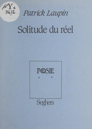 Cover of the book Solitude du réel by David Scheinert