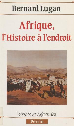 Book cover of Afrique : l'histoire à l'endroit