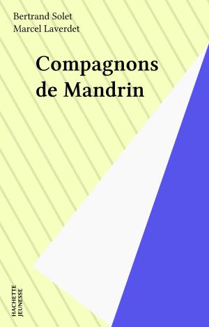 Cover of the book Compagnons de Mandrin by Serge Dieudonné