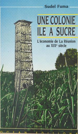 Cover of the book Une colonie île à sucre : l'économie de La Réunion au XIXe siècle by Michel Foucher
