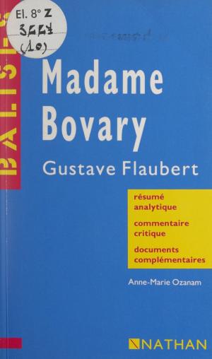 Cover of the book Madame Bovary by Le Monde Politique