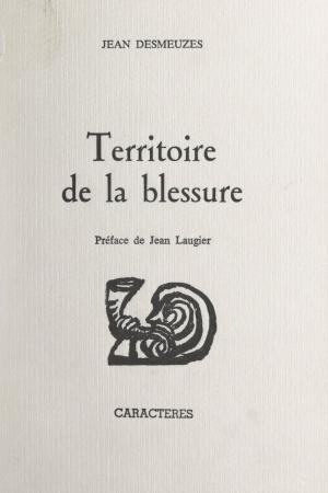 Cover of the book Territoire de la blessure by Catherine Kany, Bruno Durocher