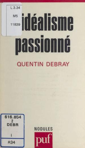 Cover of the book L'idéalisme passionné by Alain Reinberg, Paul Angoulvent