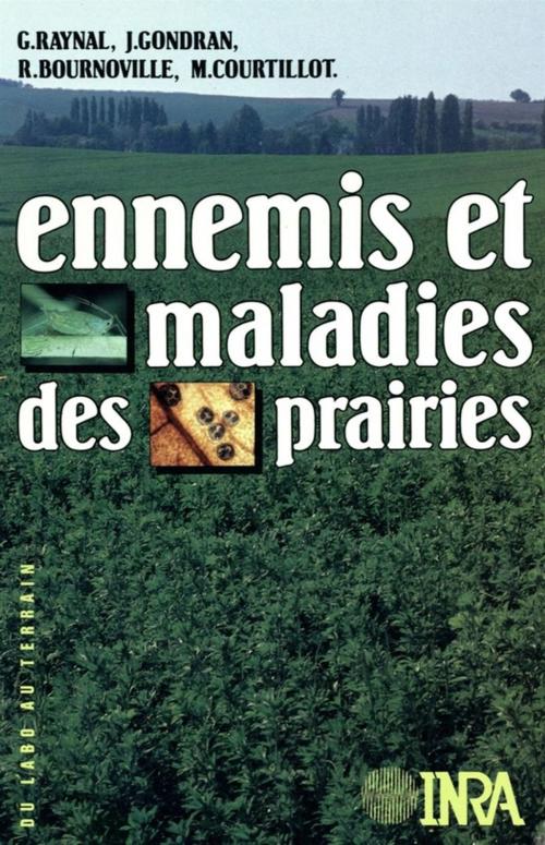Cover of the book Ennemis et maladies des prairies by Michel Courtillot, Gérard Raynal, Jean Gondran, René Bournoville, Quae