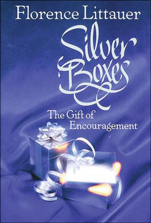 Book cover of Silver Boxes