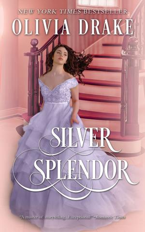 Cover of the book Silver Splendor by J.J. McAvoy