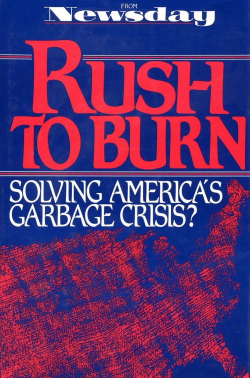 Cover of the book Rush to Burn by Newsday Inc., Newsday Inc., Island Press