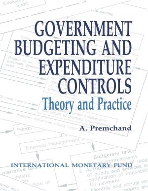 Cover of the book Government Budgeting and Expenditure Controls: Theory and Practice by John Mr. Lipsky, Peter Mr. Keller, Donald Mr. Mathieson, Richard Mr. Williams