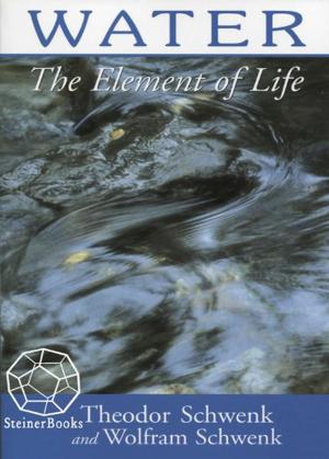 Cover of the book Water: The Element of Life by Siegfried Finser