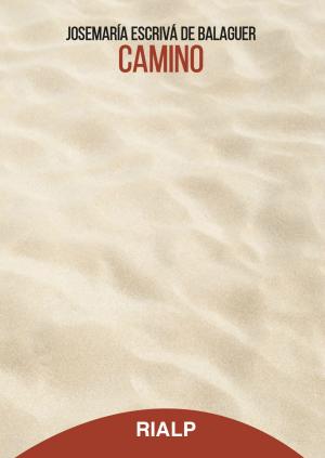 Cover of the book Camino by Jacques Philippe