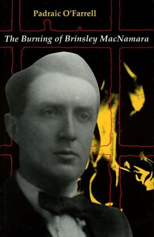 Cover of the book The Burning of Brinseley MacNamara by Peter Ross