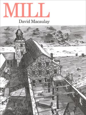 bigCover of the book Mill by 