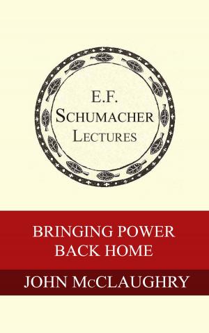 Book cover of Bringing Power Back Home: Recreating Democracy on a Human Scale