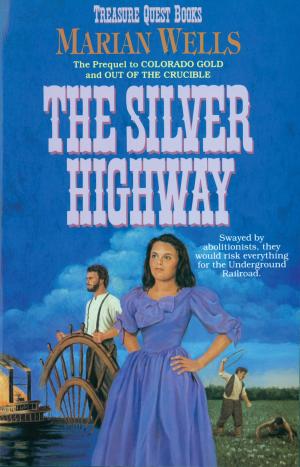 Book cover of The Silver Highway (Treasure Quest Book #3)
