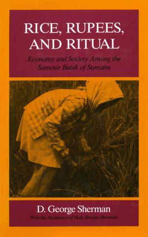 Cover of the book Rice, Rupees, and Ritual by Matthew Hughey