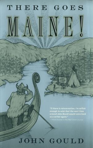 Cover of the book There Goes Maine! by Joan Silber