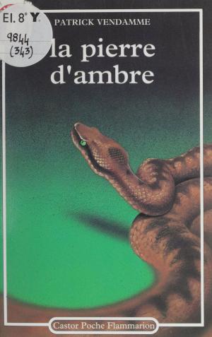 Cover of the book La Pierre d'ambre by Danièle Sallenave