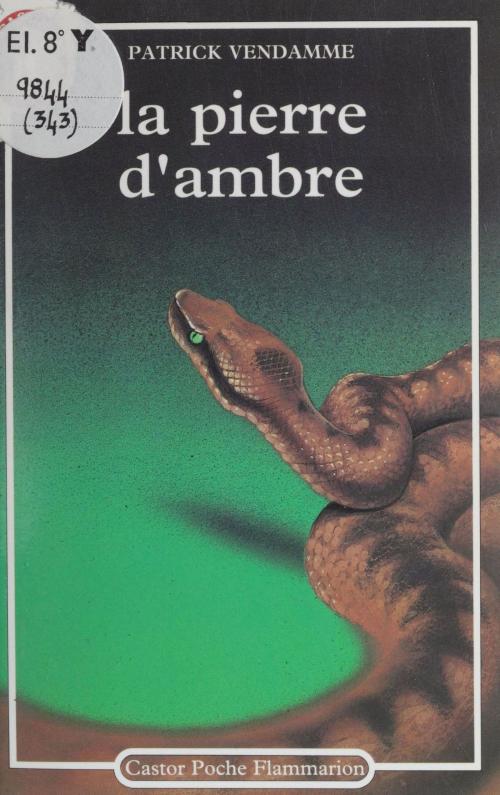 Cover of the book La Pierre d'ambre by Patrick Vendamme, Flammarion Jeunesse (réédition numérique FeniXX)