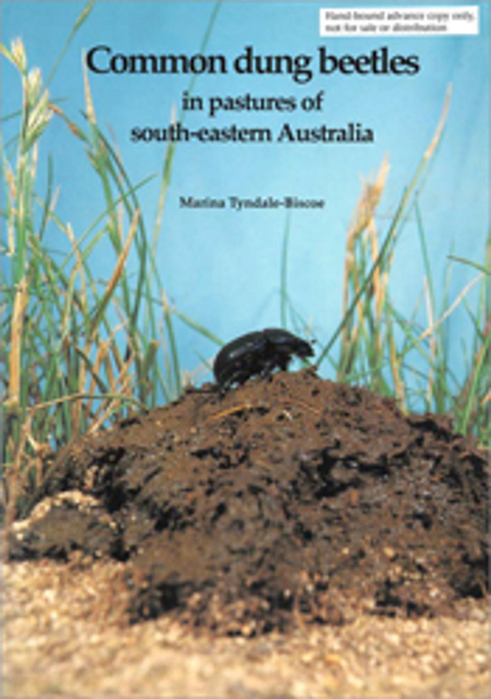 Big bigCover of Common Dung Beetles in Pastures of South-eastern Australia
