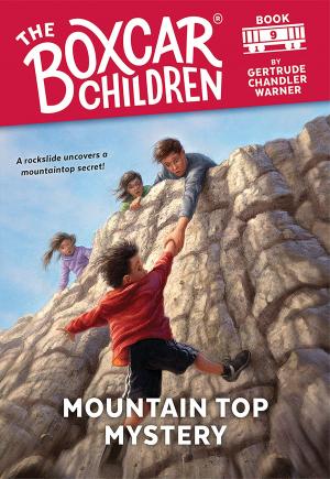 Cover of the book Mountain Top Mystery by Jane Smith