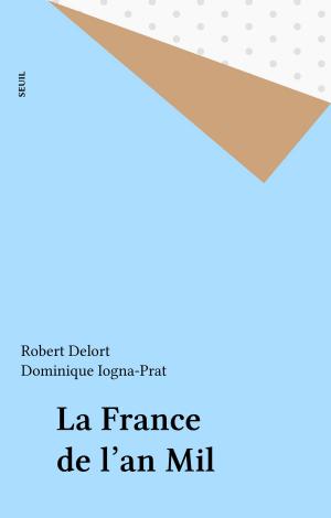 Cover of the book La France de l'an Mil by Daniel Odier