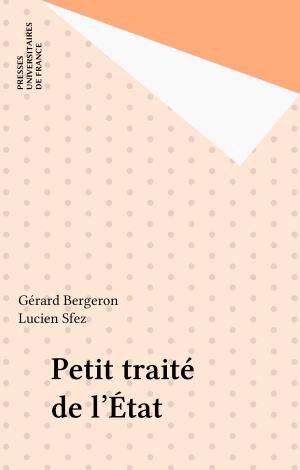 Cover of the book Petit traité de l'État by Luc Benoist