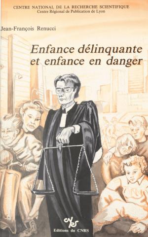 Cover of the book Enfance délinquante et enfance en danger : la protection judiciaire de la jeunesse by Bernadette Bensaude-Vincent