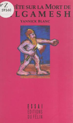 Cover of the book Enquête sur la mort de Gilgamesh by Guy Messager, Jean-Paul Delevoye