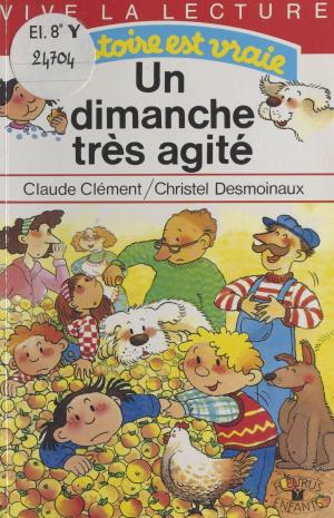 Cover of the book Un dimanche très agité by Émil Anton