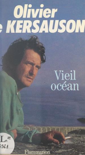 Cover of the book Vieil océan by Étienne Souriau