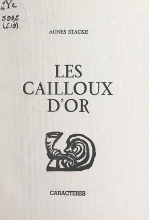 Cover of the book Les cailloux d'or by Jean-Luc Sigaux, Bruno Durocher