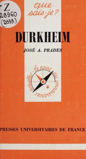 Cover of the book Durkheim by Marie-Pierre Champenois-Marmier, Madeleine Faucheux, François Terré