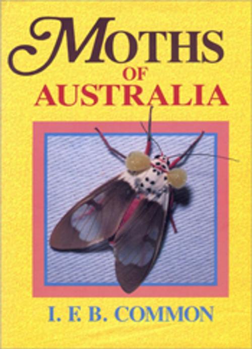 Cover of the book Moths of Australia by IFB Common, CSIRO PUBLISHING