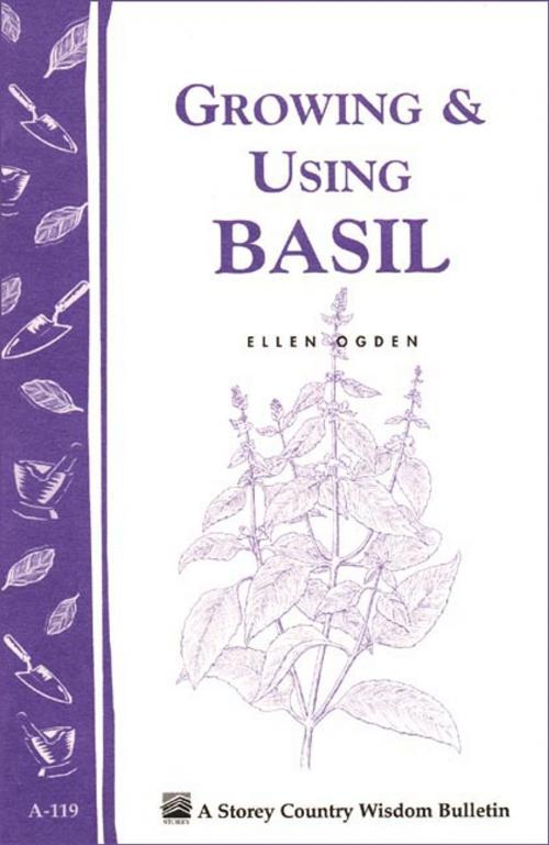 Cover of the book Growing & Using Basil by Ellen Ogden, Storey Publishing, LLC
