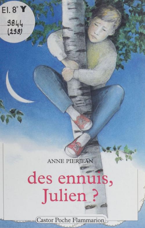 Cover of the book Des Ennuis, Julien ? by Anne Pierjean, Flammarion Jeunesse (réédition numérique FeniXX)