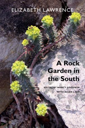 Cover of the book A Rock Garden in the South by Ken C. Kawashima, Rey Chow, Harry Harootunian, Masao Miyoshi