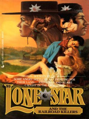 Book cover of Lone Star 95/railroad