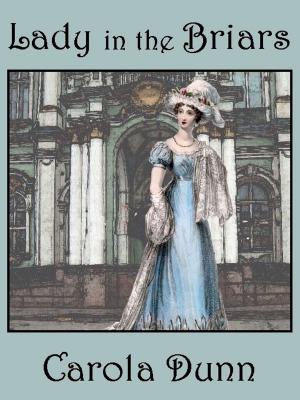 Cover of the book Lady in the Briars by Fran Baker