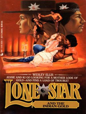 Book cover of Lone Star 94/indian