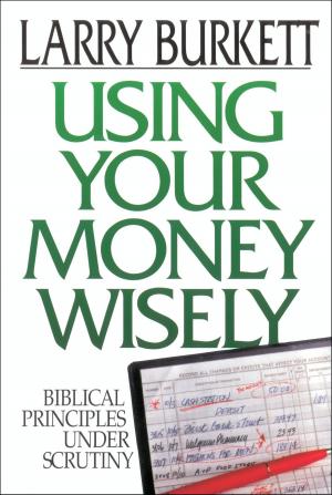Cover of the book Using Your Money Wisely by John MacArthur